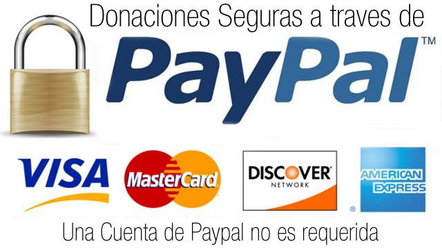 paypal