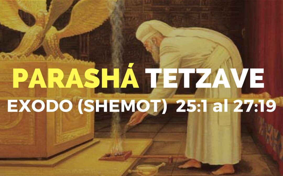 Parashá Tetzave No. 20