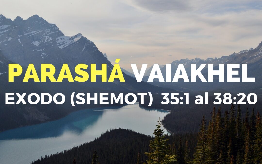 Parashá Vaiakhel No. 22