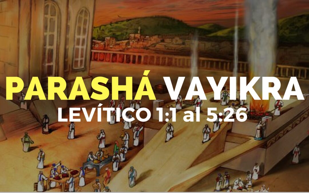 Parashá Vayikra No. 24