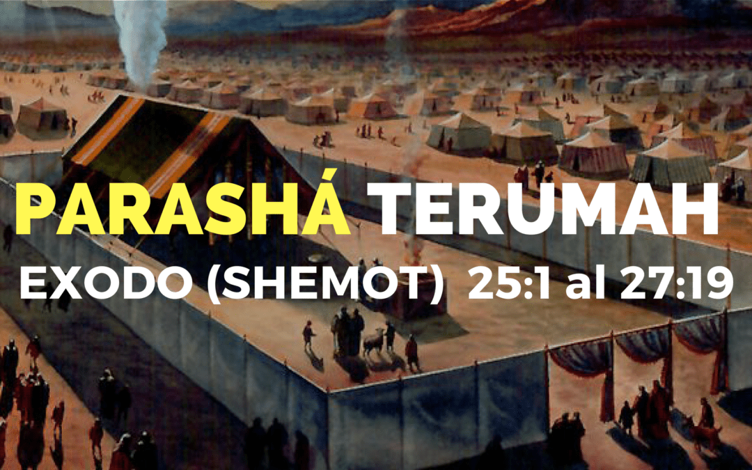 Parashá Terumah (Ofrenda) No.19