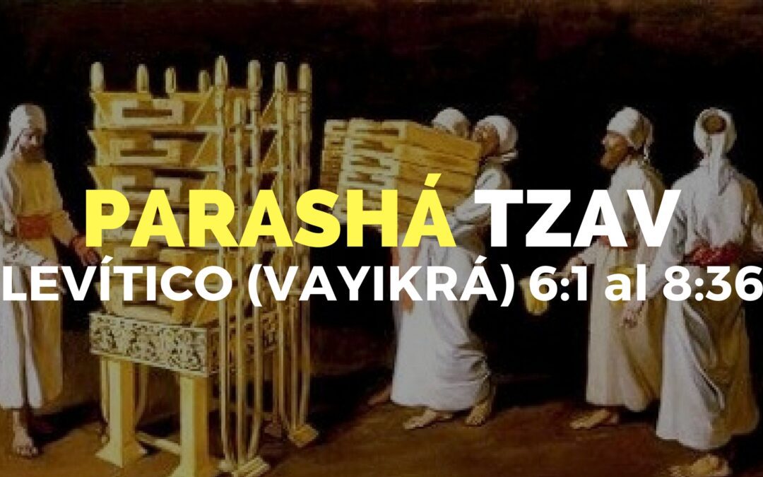 Parashá Tzav No. 25