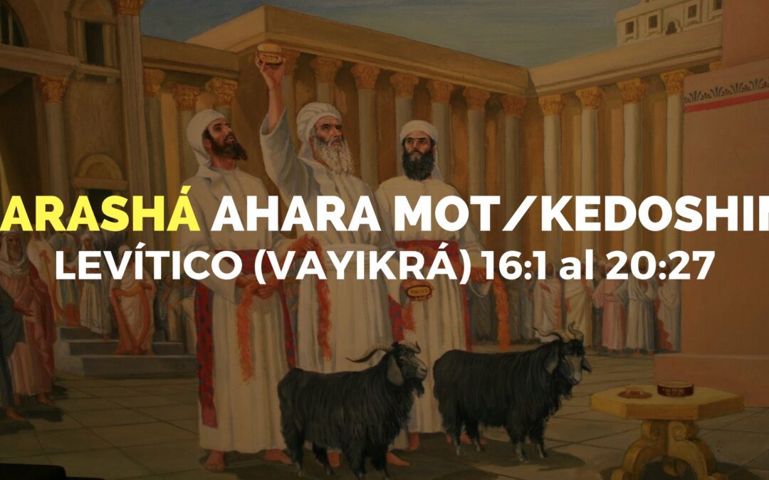 Parashá Ahare Mot/Kedoshim No.29