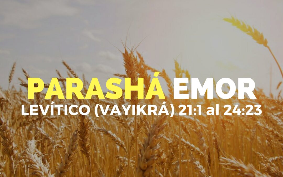 Parashá Emor No. 30