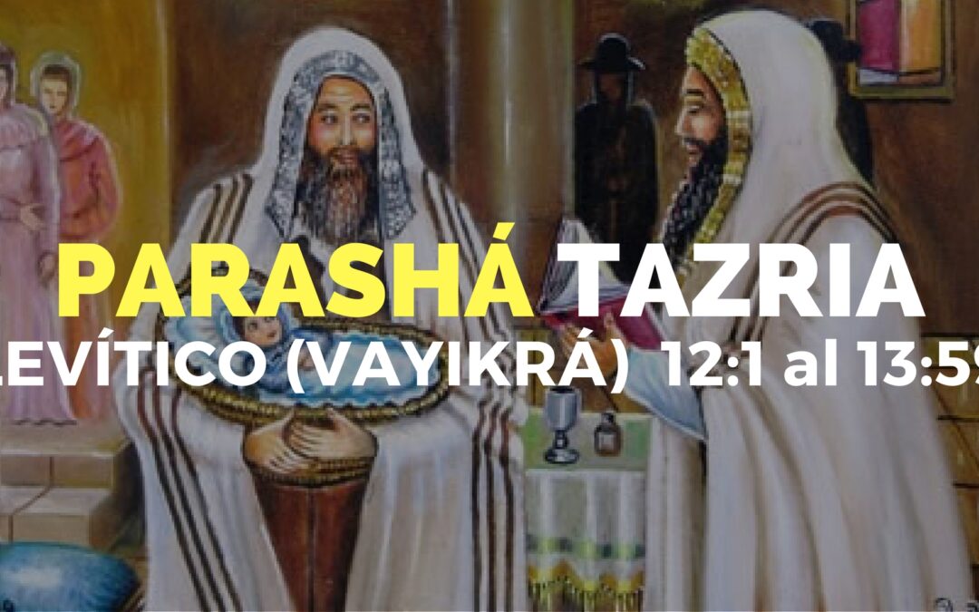 Parashá Tazria No. 27