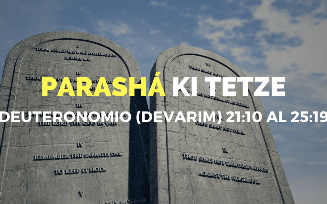 Parashá Ki Tetze No. 46
