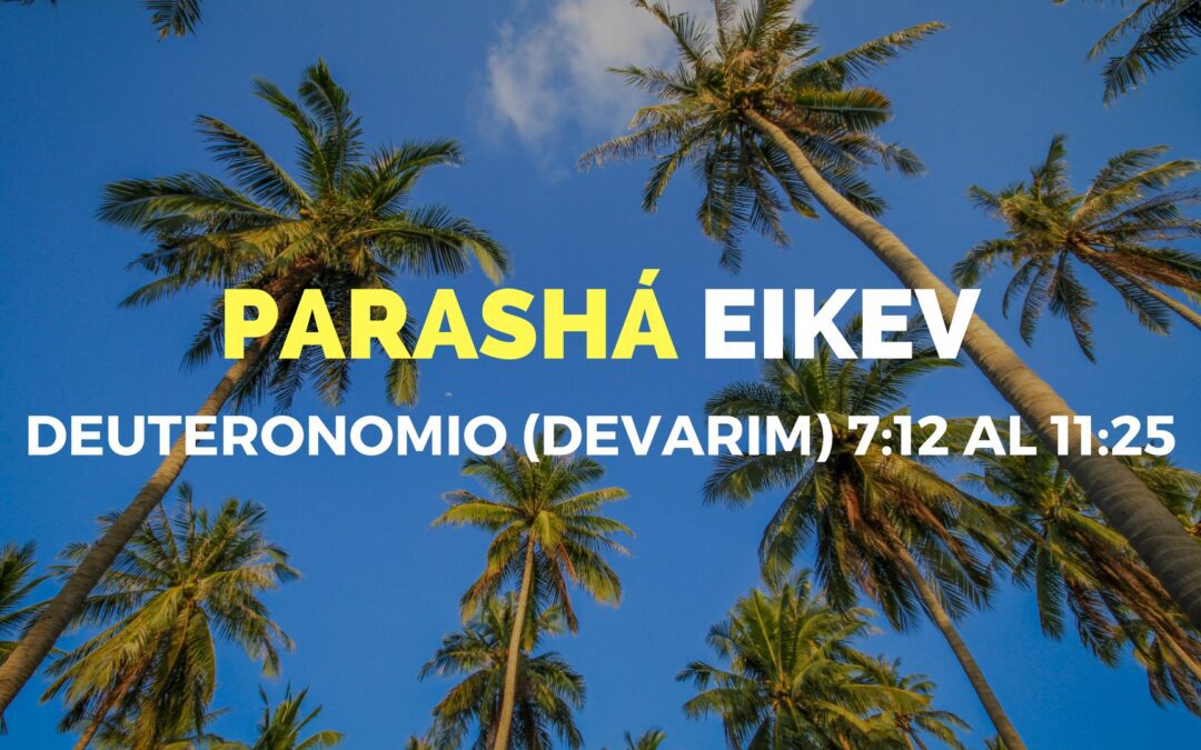 Parashá Eikev No. 43