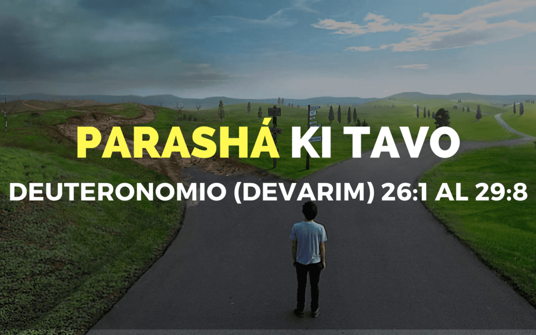 Parashá Ki Tavo No. 47
